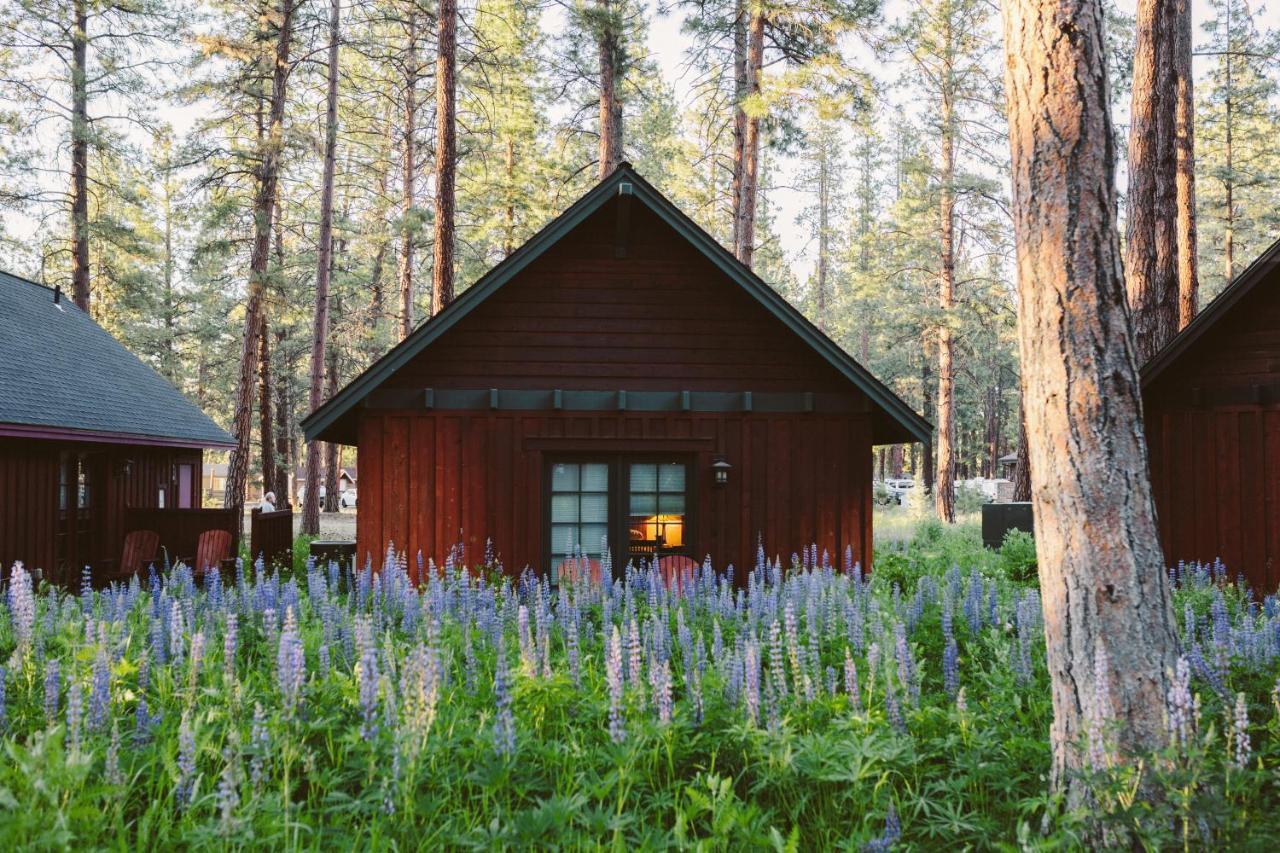Fivepine Lodge Sisters Luaran gambar